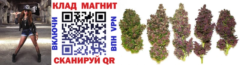 Какие есть наркотики Азов Конопля  СК  Гашиш  Меф 