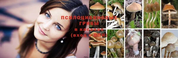 ECSTASY Пересвет