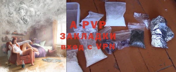 ГАЛЛЮЦИНОГЕННЫЕ ГРИБЫ Покров