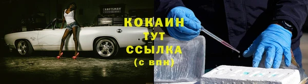 apvp Пестово