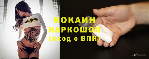 apvp Пестово