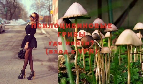 apvp Пестово