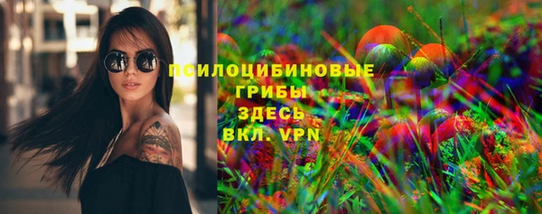 прущий лед Переславль-Залесский
