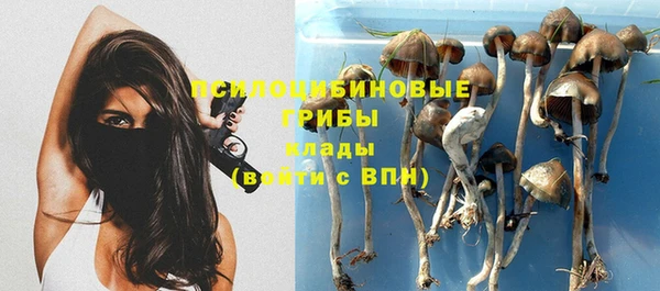 прущий лед Переславль-Залесский
