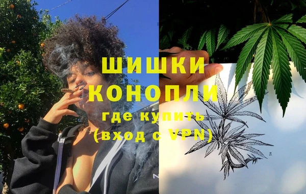 apvp Пестово