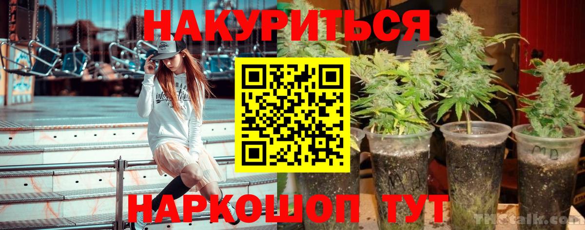 Бошки марихуана ГИДРОПОН Азов